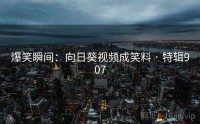 爆笑瞬间：向日葵视频成笑料 · 特辑907