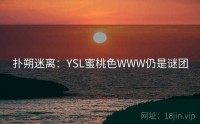 扑朔迷离：YSL蜜桃色WWW仍是谜团