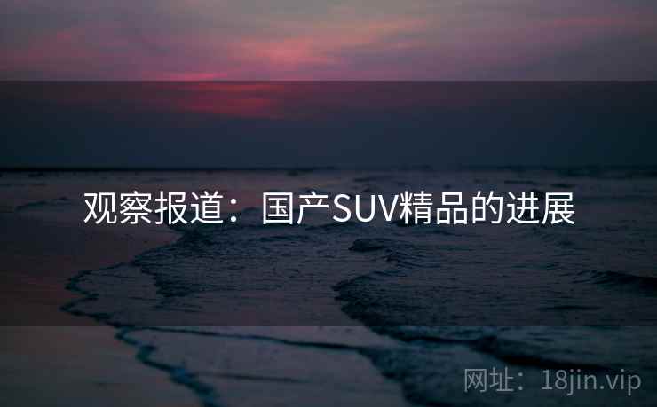 观察报道：国产SUV精品的进展